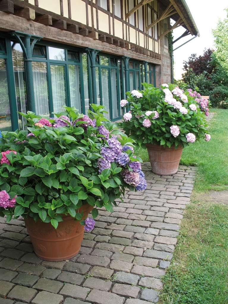 Der Linslerhof - Hotel, Restaurant, Events & Natur Überherrn Extérieur photo