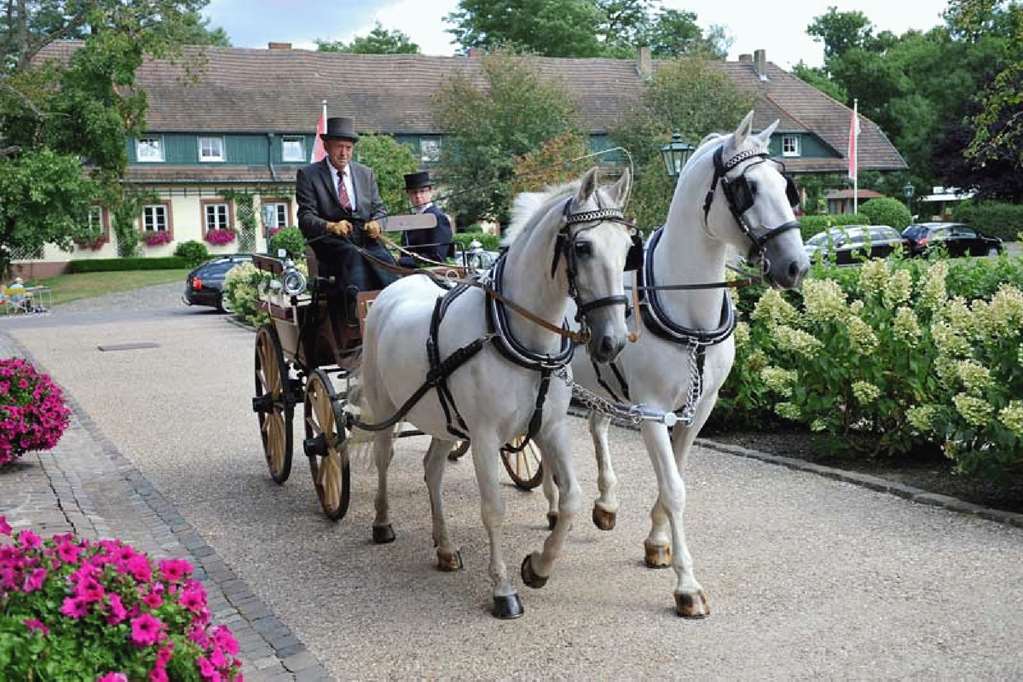 Der Linslerhof - Hotel, Restaurant, Events & Natur Überherrn Intérieur photo