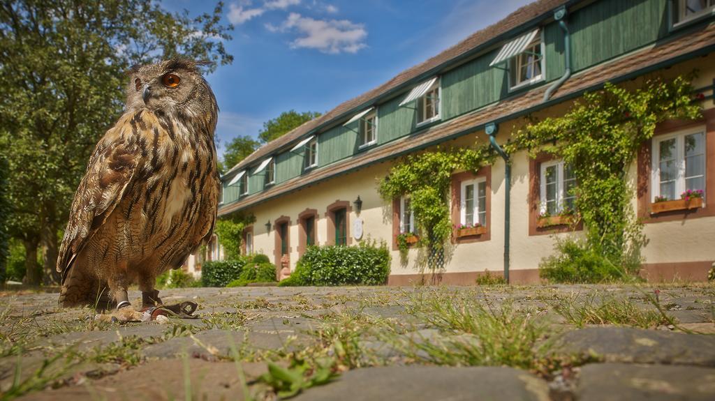 Der Linslerhof - Hotel, Restaurant, Events & Natur Überherrn Extérieur photo